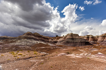 Blue Mesa - Petrified Forest National Park