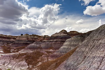 Blue Mesa - Petrified Forest National Park