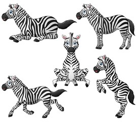 Fototapeta na wymiar Zebra cartoon set collection