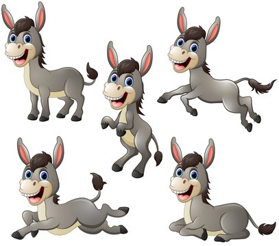 Donkey cartoon set collection
