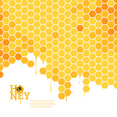 Honeycombs bright background - 117688125