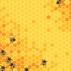 Honeycombs bright background