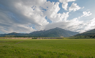Obraz premium Mountain Meadows in Central Rocky Mountains in Alpine Wyoming United States of America