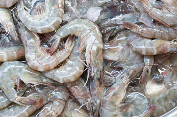 fresh shrimp in country market of thailand