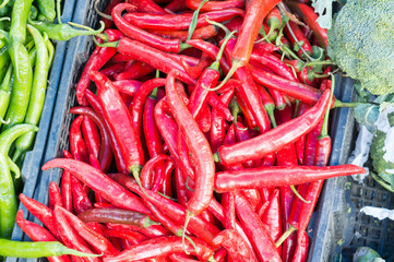 stall of chilli at the market