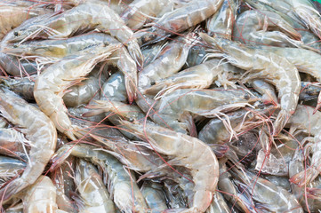 fresh shrimp in country market of thailand