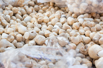 stall of mushrooms at the market