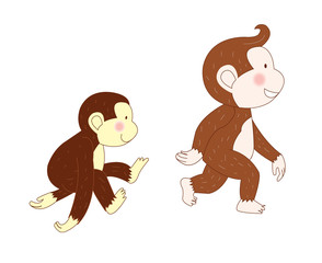 monkeys were walking