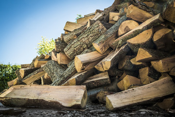 Pile of firewood