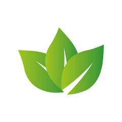 Leaf green plant nature season icon. Isolated and flat illustration. Vector graphic