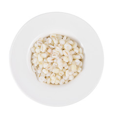 white sorghum isolated on white background.