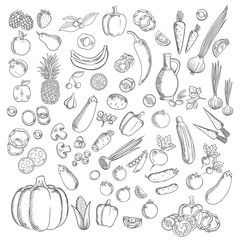 Fresh sketched fruits and vegetables icon