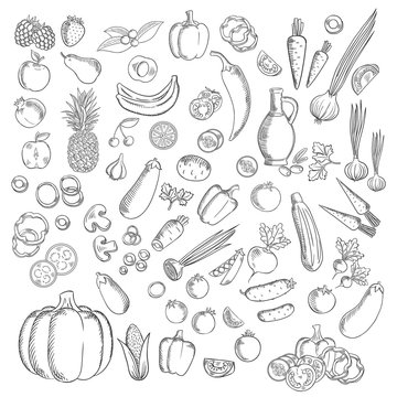 Fresh sketched fruits and vegetables icon