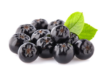 Chokeberry with leaves