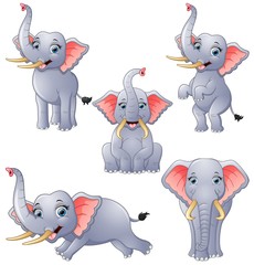 Naklejka premium Elephant cartoon set collection