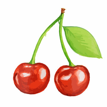 Isolated watercolor cherry on white background. Fresh summer berry. Healthy sweet snack. Close-up.