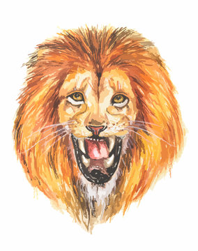 Watercolor lion roar