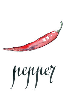 Watercolor chili pepper