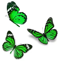 Crédence de cuisine en verre imprimé Papillon Three green butterfly