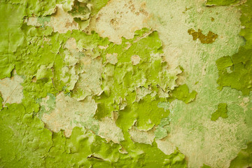 old green paint on old wall