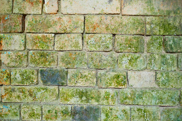 old brick wall