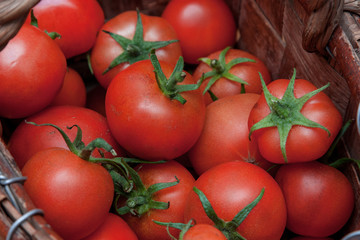 Homemade tomatoes in a basket
