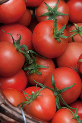 Homemade tomatoes in a basket