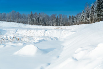 The snowy forest in January