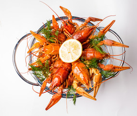 Boiled crayfish with dill and lemon. On a white background
