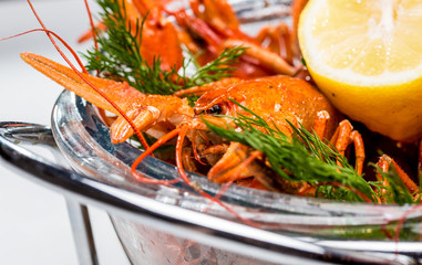 Boiled crayfish with dill and lemon. On a white background
