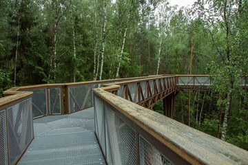 Walk in  the tree tops