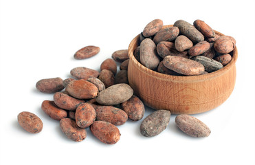Cacao beans isolated
