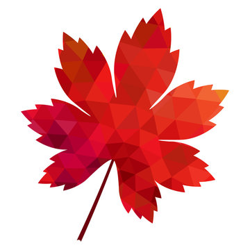 vector polygonal red maple leaf on white background