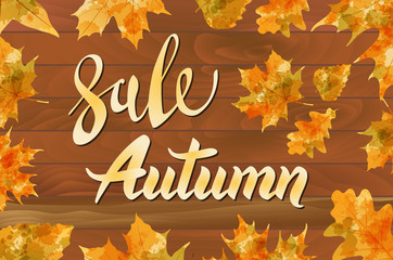 autumn special sale vintage vector typography poster on wood background. layered.