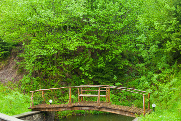 Obraz premium Wooden bridge surrounded by green trees