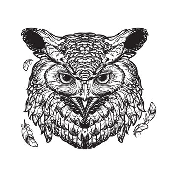 Owl sketch isolated on white background