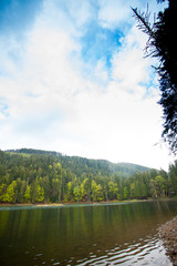 Beautiful lake and forest around it