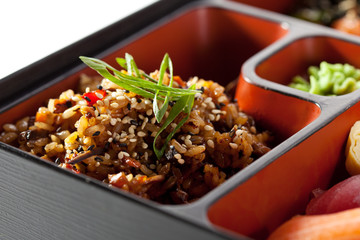 Japanese Bento Lunch