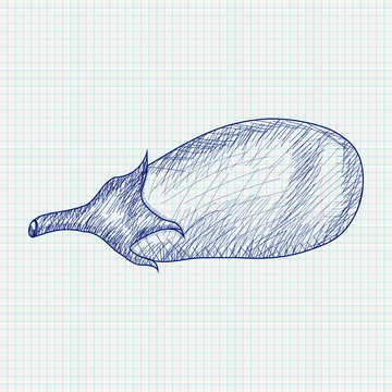 Eggplant, hand drawn doodle on notebook sheet grid
