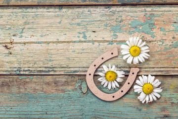 Background with daisies and decorative horseshoe on old boards w