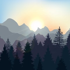 Sunrise landscape in the forest