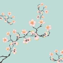 Obraz na płótnie Canvas Cherry blossoms illustration