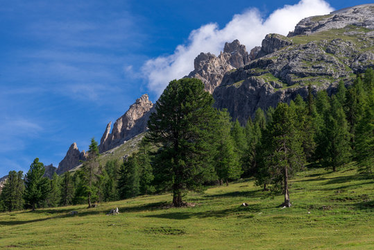  Panoramica con cime delle  Dolomiti in Alto Adige
