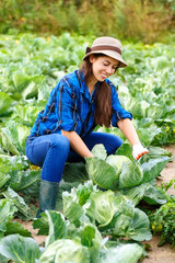 Happy young girl with cabbage