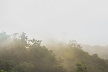Obraz na płótnie Canvas Beautiful fog on mountains at dawn time.