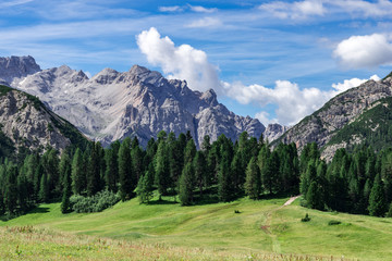 Fototapeta na wymiar Panoramica con cime delle Dolomiti in Alto Adige