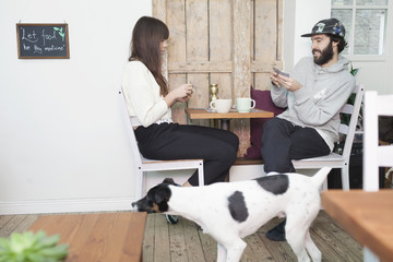 Dog walking by couple playing cards in coffee shop