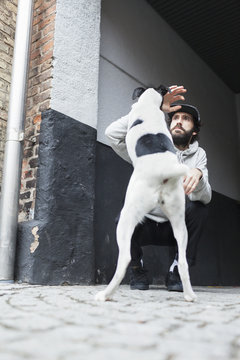 Mid Adult Man Playing With Dog Outdoors