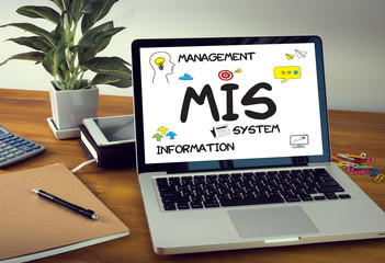 MIS  Management Information System  Data Development Information © onephoto