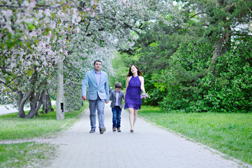 Mom, dad and son walk along the blossoming alleys, spring, full growth.